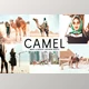 Download Camel Pro Lightroom Presets CreativeMarket - 6622399