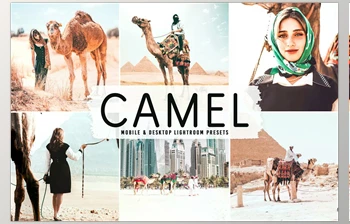 Download Camel <span class='badge badge-warning'>Pro</span> <span class='badge badge-warning'>Lightroom</span> <span class='badge badge-warning'>Presets</span> <span class='badge badge-warning'>CreativeMarket</span> - 6622399
