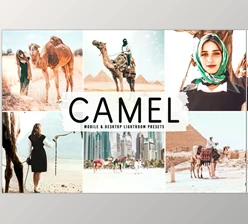 Download Camel Pro Lightroom Presets CreativeMarket - 6622399