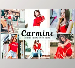 Download Carmine Pro Lightroom Presets CreativeMarket - 6622411