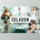 Download Celadon Pro Lightroom Presets CreativeMarket - 6622413