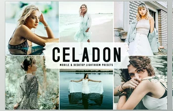 Download Celadon <span class='badge badge-warning'>Pro</span> <span class='badge badge-warning'>Lightroom</span> <span class='badge badge-warning'>Presets</span> CreativeMarket - 6622413