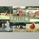 Download Fallow Pro Lightroom Presets CreativeMarket - 6639851