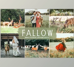 Download Fallow Pro Lightroom Presets CreativeMarket - 6639851
