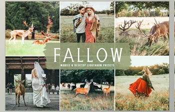 Download Fallow <span class='badge badge-warning'>Pro</span> <span class='badge badge-warning'>Lightroom</span> <span class='badge badge-warning'>Presets</span> CreativeMarket - 6639851