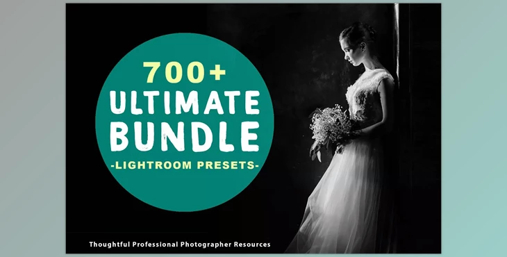 Download 700+ Lightroom Presets Bundle 3061618