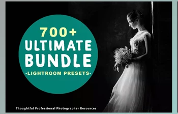 Download 700+ Lightroom Presets <span class='badge badge-warning'>Bundle</span> 3061618