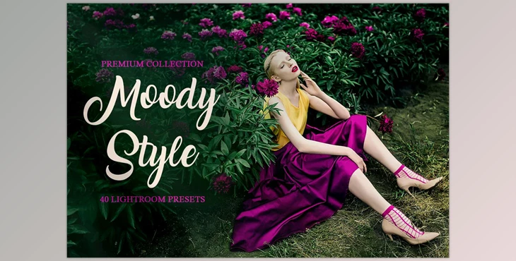Download Creativemarket Moody Style Presets for Lightroom 4291241