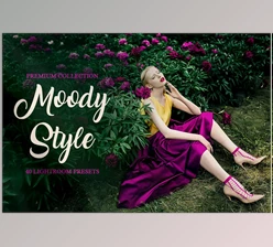 Download Creativemarket Moody Style Presets for Lightroom 4291241