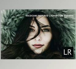Download VSCOcam Inspired Lightroom presets Creativemarket 1652704