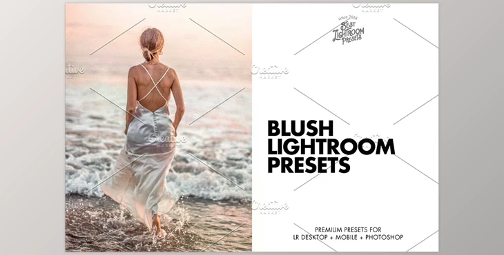 Download 11 Best Blush Pink Lightroom Presets CreativeMarket - 6467472