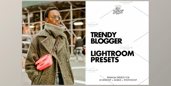 Download Lightroom Presets Trendy Blogger CreativeMarket - 4114916