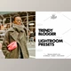 Download Lightroom Presets Trendy Blogger CreativeMarket - 4114916