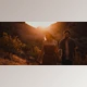 Download DVLOP – Visual Flow – Mood Pack