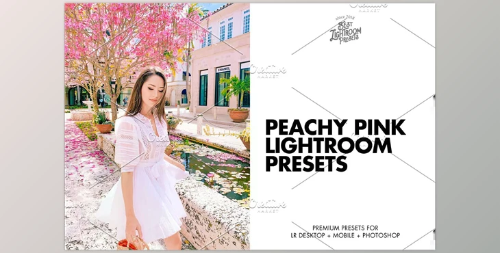 Download Lighroom Presets Pink Film CreativeMarket - 6350495