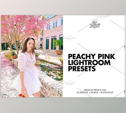 Download Lightroom Presets Pink Film CreativeMarket - 6350495
