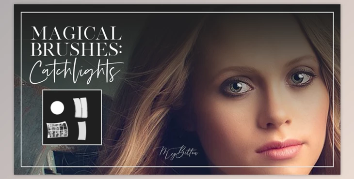 Download Meg Bitton – CATCHLIGHTS BRUSHES