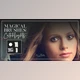 Download Meg Bitton – CATCHLIGHTS BRUSHES