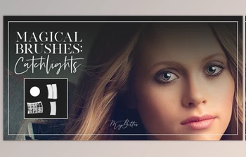 Download Meg Bitton – CATCHLIGHTS <span class='badge badge-warning'>BRUSHES</span>