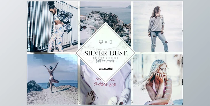 Download 2 Silver lightroom presets CreativeMarket - 4007319