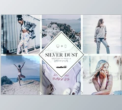 Download 2 Silver lightroom presets CreativeMarket - 4007319