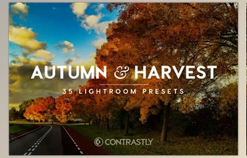 Download Autumn & Harvest Lightroom <span class='badge badge-warning'>Presets</span> 365877
