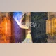 Download Wedding Slideshow (Videohive 20979129) - AE Project