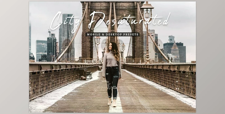 Download City Desaturated Lightroom Presets CreativeMarket - 6811789