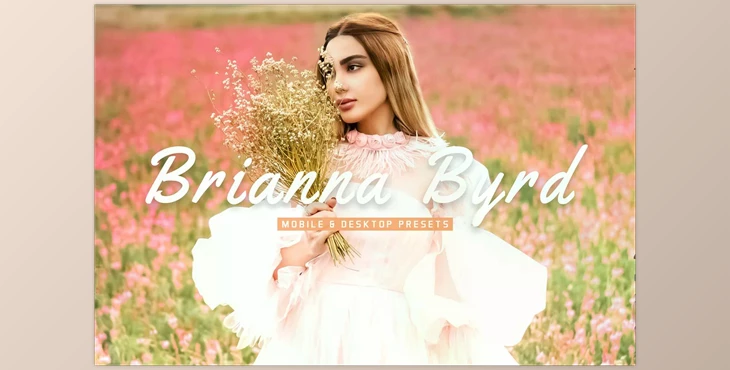 Download Brianna Byrd Pro Lightroom Presets CreativeMarket - 6811484