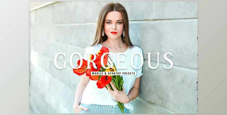 Download Gorgeous Pro Lightroom Presets CreativeMarket - 6812648