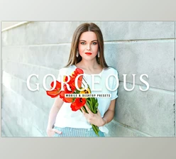 Download Gorgeous Pro Lightroom Presets CreativeMarket - 6812648