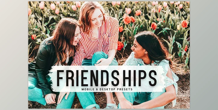 Download Friendships Pro Lightroom Presets CreativeMarket - 6812637