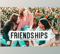 Download Friendships Pro Lightroom Presets CreativeMarket - 6812637