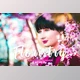 Download Floristry Pro Lightroom Presets CreativeMarket - 6812544