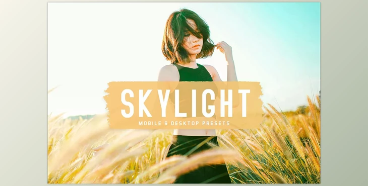 Download Skylight Pro Lightroom Presets CreativeMarket - 6834951