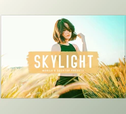 Download Skylight Pro Lightroom Presets CreativeMarket - 6834951