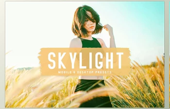Download Skylight Pro <span class='badge badge-warning'>Lightroom</span> <span class='badge badge-warning'>Presets</span> CreativeMarket - 6834951