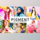 Download Pigment Pro Lightroom Presets CreativeMarket - 6814487