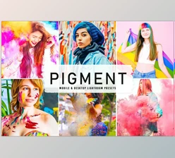 Download Pigment Pro Lightroom Presets CreativeMarket - 6814487
