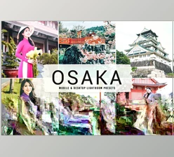 Download Osaka Pro Lightroom Presets CreativeMarket - 6814398