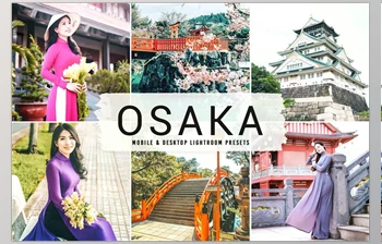 Download Osaka Pro <span class='badge badge-warning'>Lightroom</span> <span class='badge badge-warning'>Presets</span> CreativeMarket - 6814398