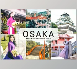 Download Osaka Pro Lightroom Presets CreativeMarket - 6814398