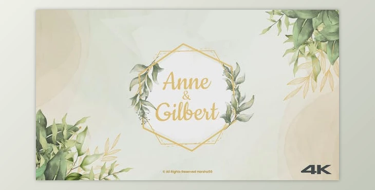 Download Wedding Invitation (Videohive 33472811) - AE Project