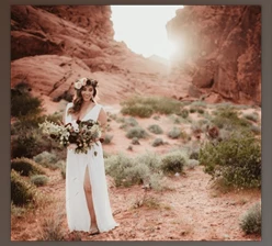 Download Lightroom and ACR Presets | Harvest Matte - Twig & Olive Photography