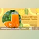 Download Healthy Food | Diet Promo (Videohive 34900376) - AE Project