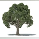 3dquakers - Download Forester v1.5.7 for Cinema 4D R20-R2025