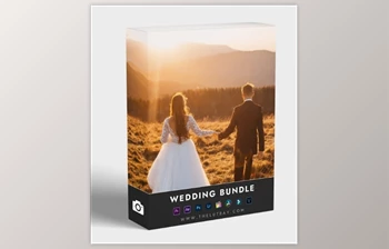 TheLutbay - Download WEDDING <span class='badge badge-warning'>BUNDLE</span> v26.9