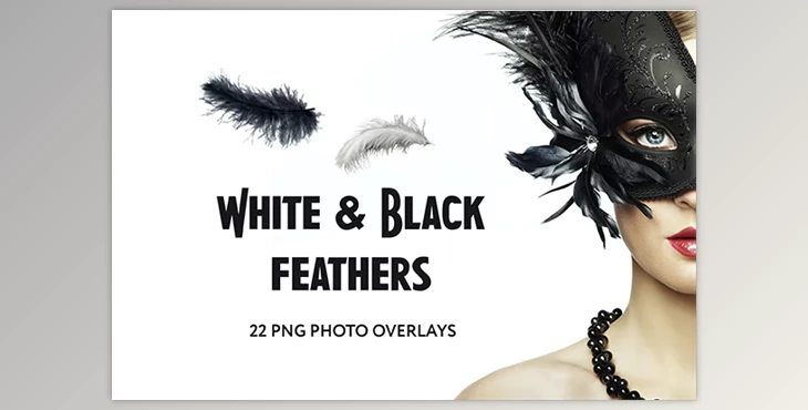 Download 22 White and Black feathers Photo Overlays GraphicRiver - 34831392
