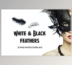 Download 22 White and Black feathers Photo Overlays GraphicRiver - 34831392