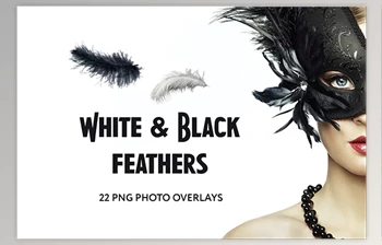 Download 22 White and Black feathers <span class='badge badge-warning'>Photo</span> Overlays GraphicRiver - 34831392